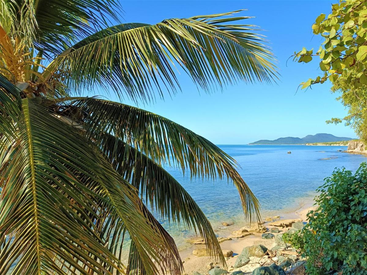 Lazy Hostel Vieques Zewnętrze zdjęcie