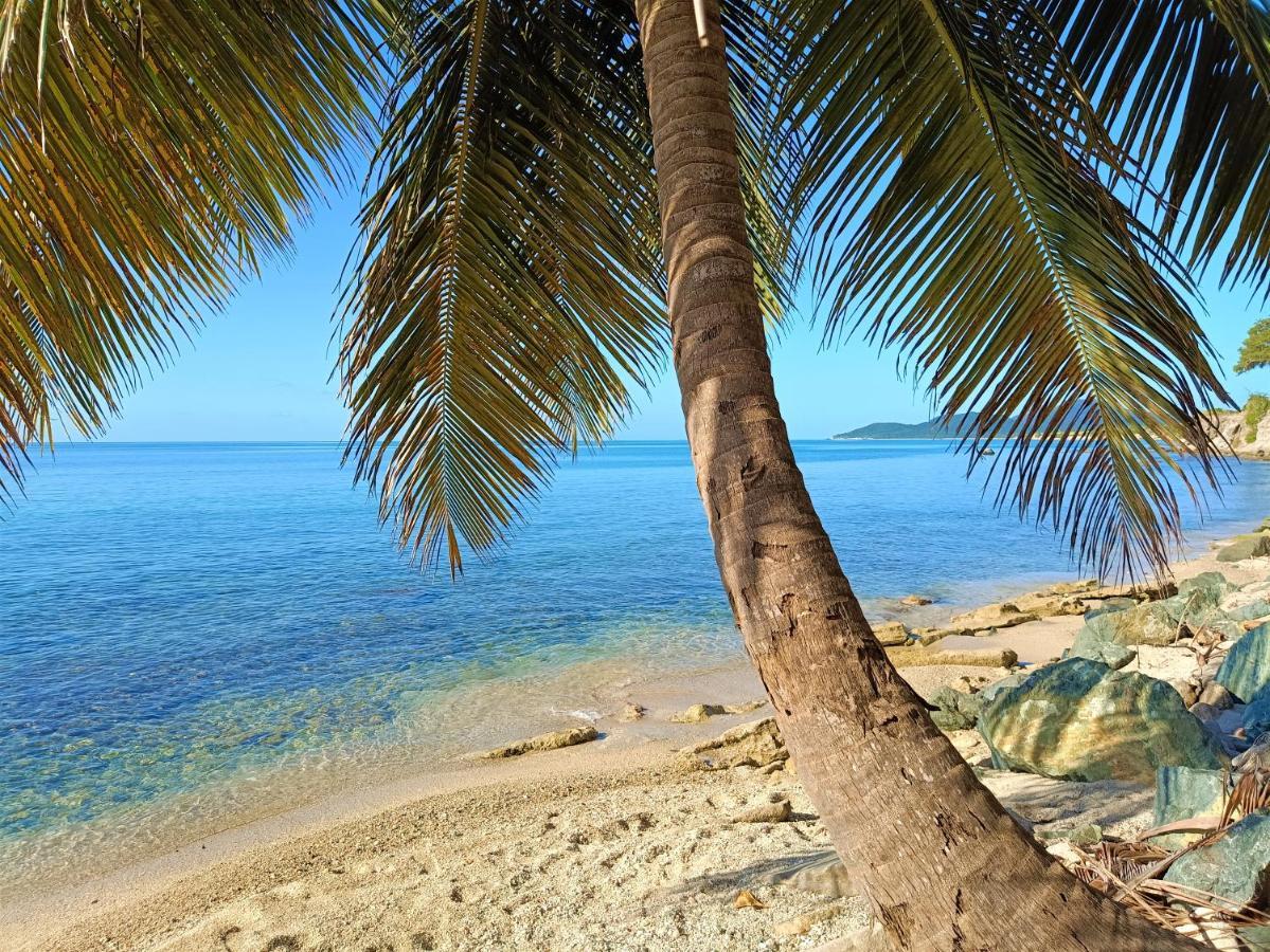 Lazy Hostel Vieques Zewnętrze zdjęcie