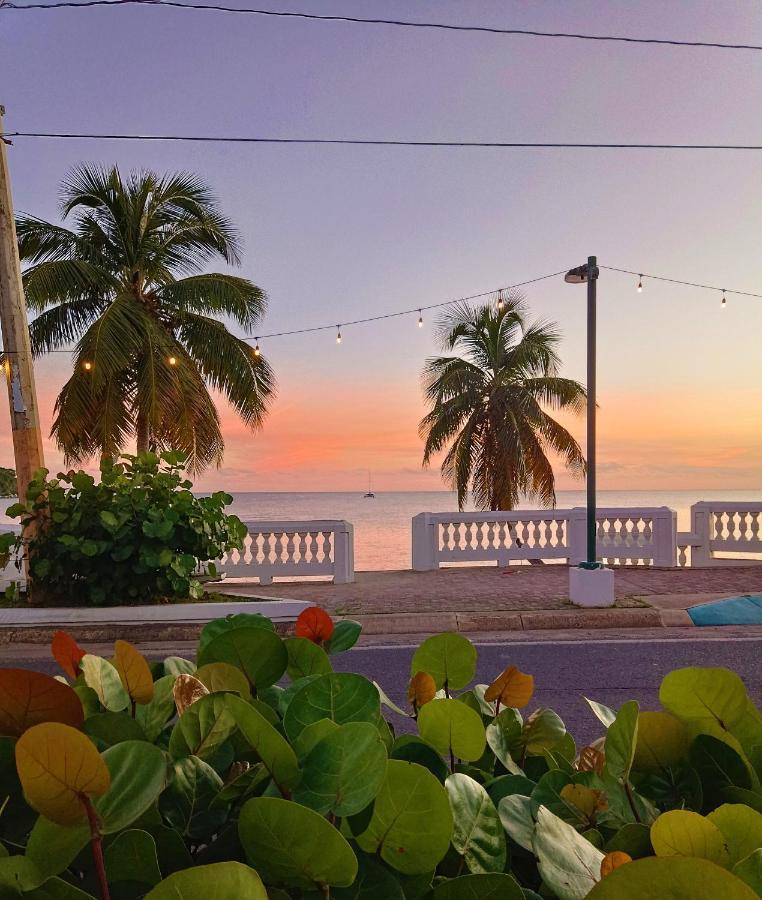Lazy Hostel Vieques Zewnętrze zdjęcie
